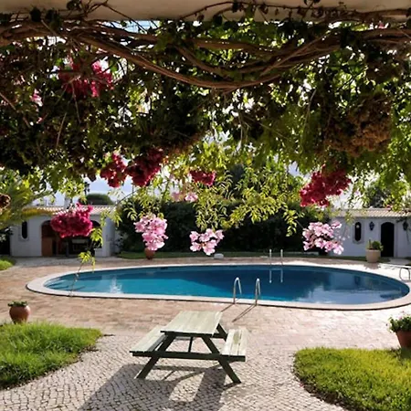 Casa Gondi - Right By Gale - Large Lush Gardens *